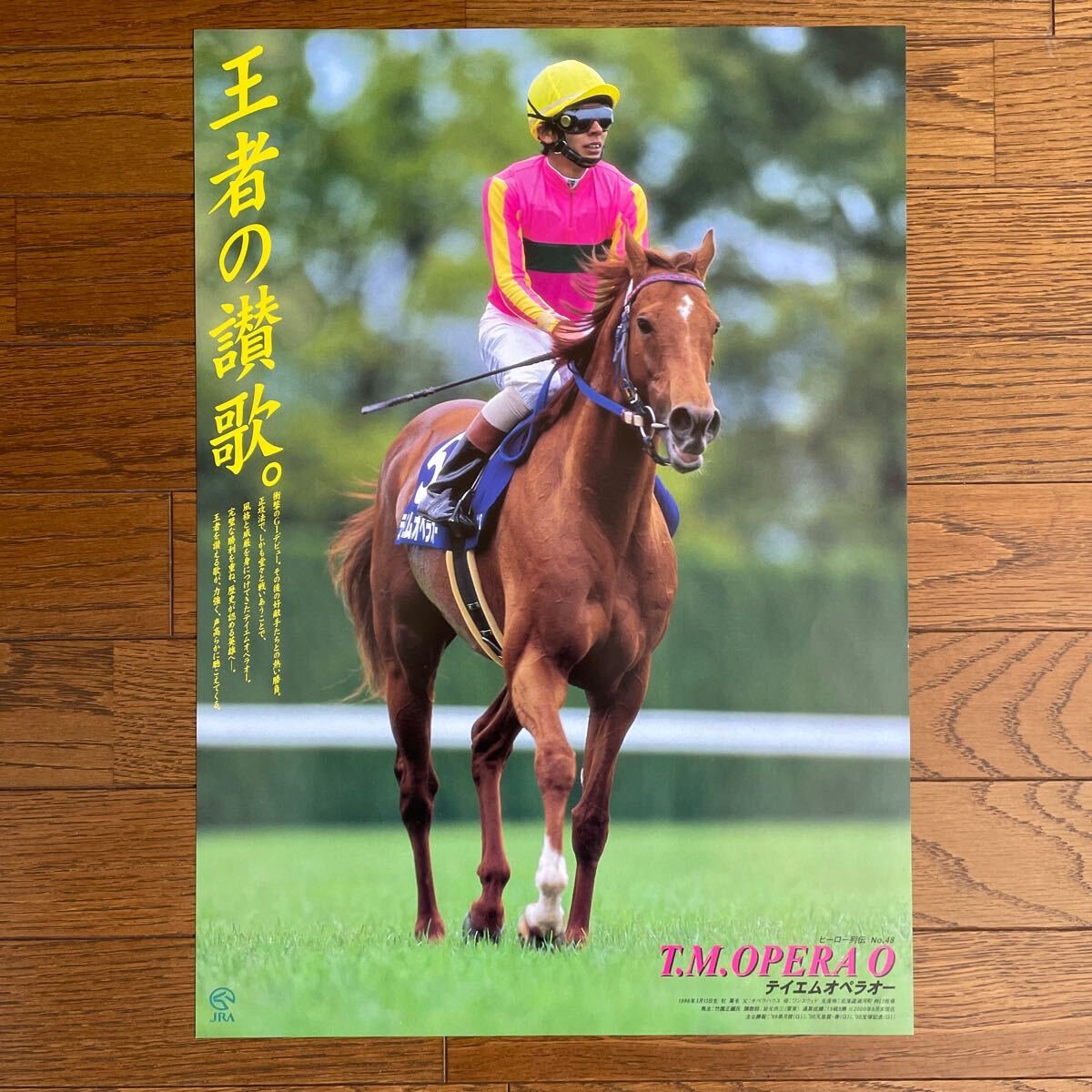Yahoo!オークション - JRA ヒーロー列伝 No.48 テイエムオペラオー B3