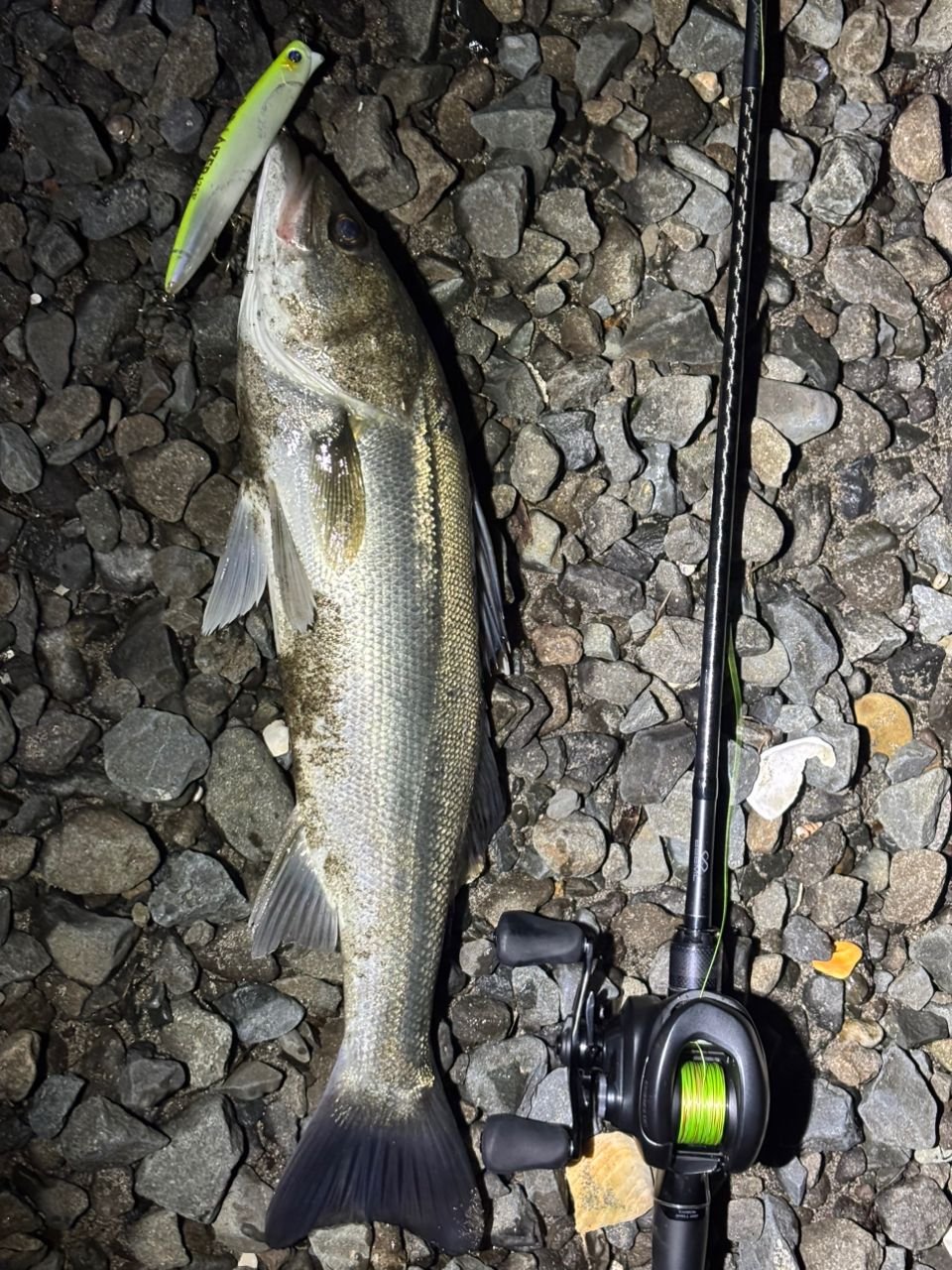 SHIMANO 22エクスセンス ∞ (インフィニティ) B86MLの最安値・インプレ